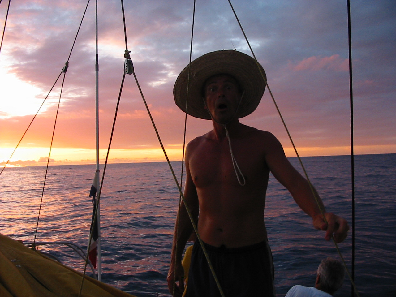 You are currently viewing Ricardo