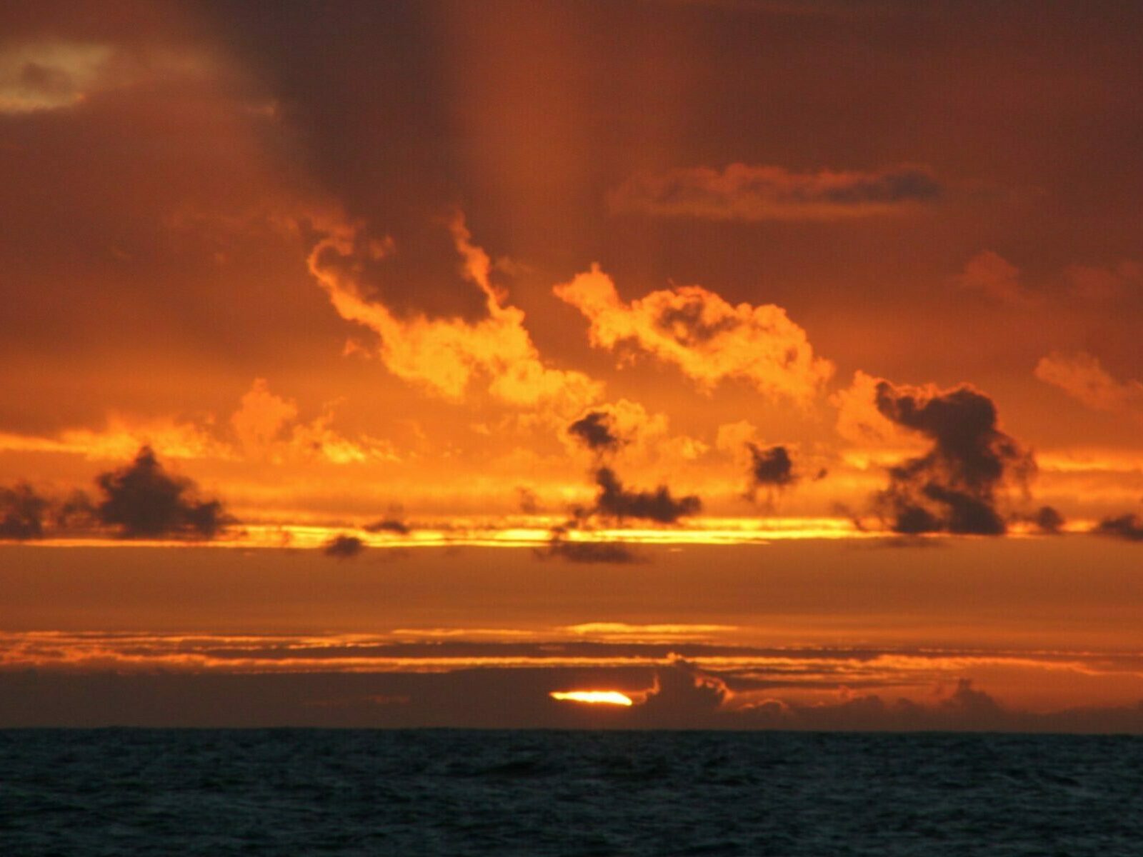 Lady la fee Un cocktail orangé