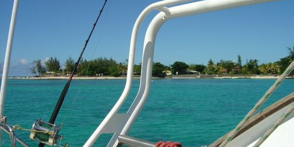 Location du catamaran pour la matinée