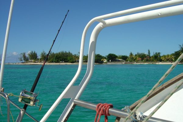 Lire la suite à propos de l’article Location du catamaran pour la matinée