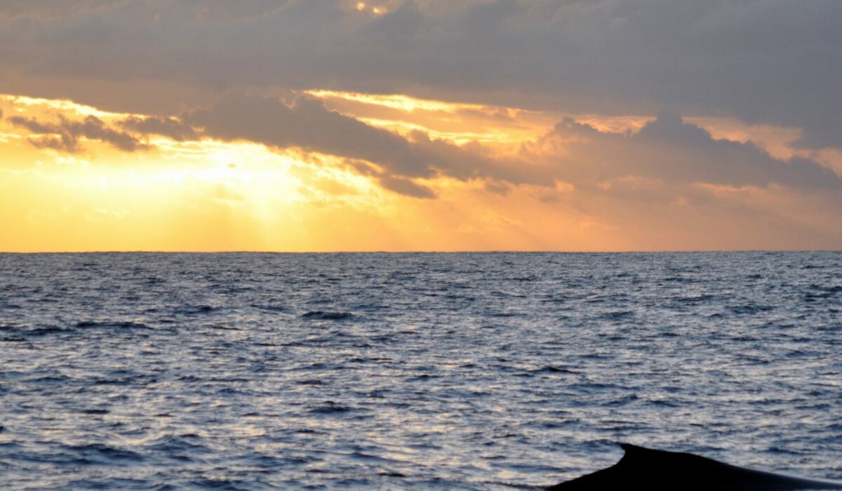 Croisière au coucher de soleil